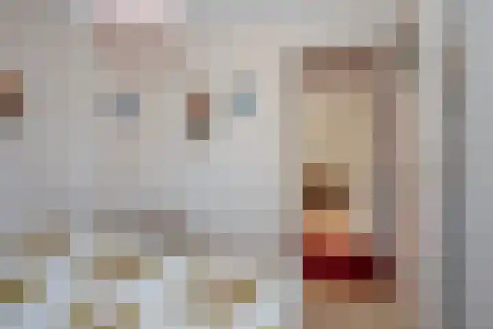 Johan Willem Frisostraat 12 Rijssen thumbnail 17