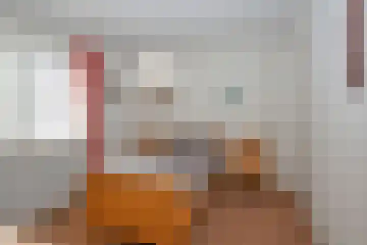 Johan Willem Frisostraat 12 Rijssen thumbnail 18