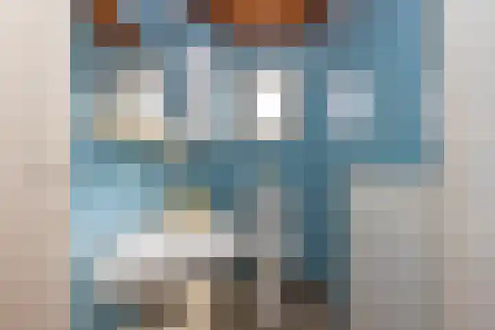 Johan Willem Frisostraat 12 Rijssen thumbnail 20