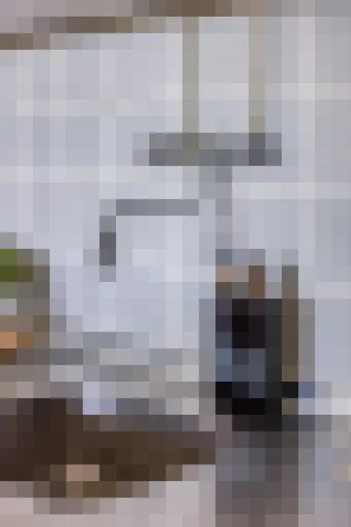 Johan Willem Frisostraat 131 Zoetermeer thumbnail 30