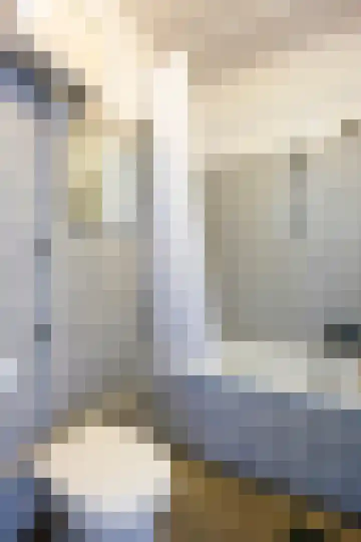 Johan Willem Frisostraat 131 Zoetermeer thumbnail 36