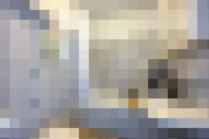 Johan Willem Frisostraat 131 Zoetermeer thumbnail 37