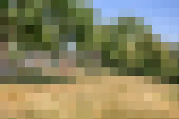 Johan Willem Frisostraat 131 Zoetermeer thumbnail 44