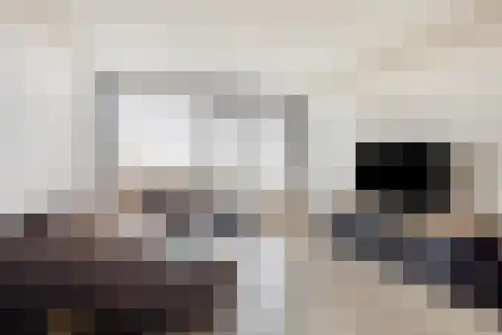 Johan Willem Frisostraat 133 Zoetermeer thumbnail 8