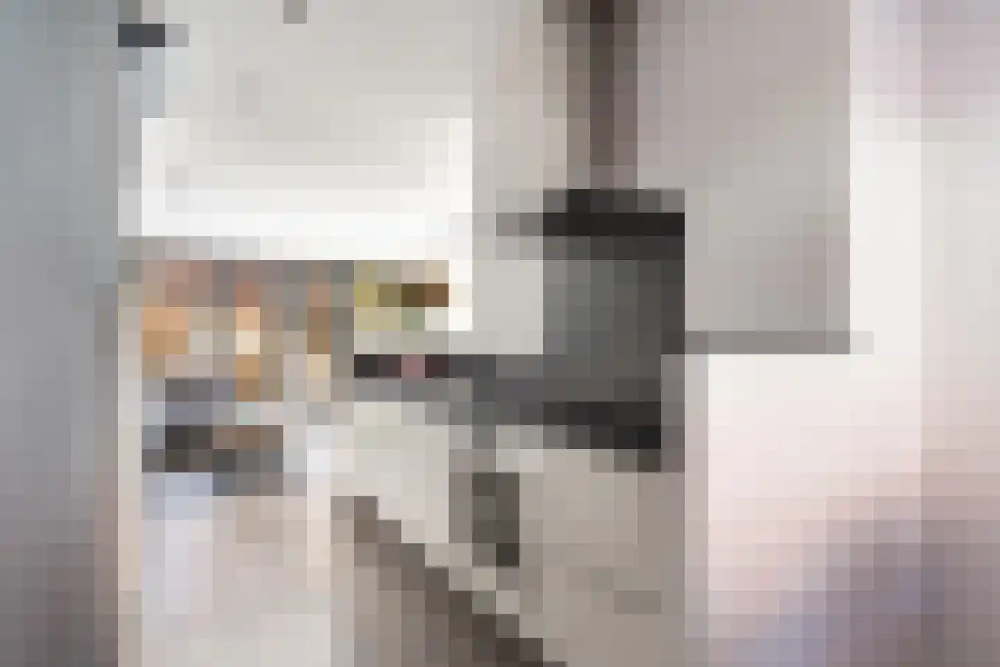 Johan Willem Frisostraat 15 Dordrecht thumbnail 15