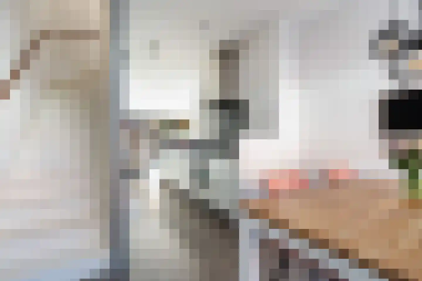 Johan Willem Frisostraat 15 Dordrecht thumbnail 21