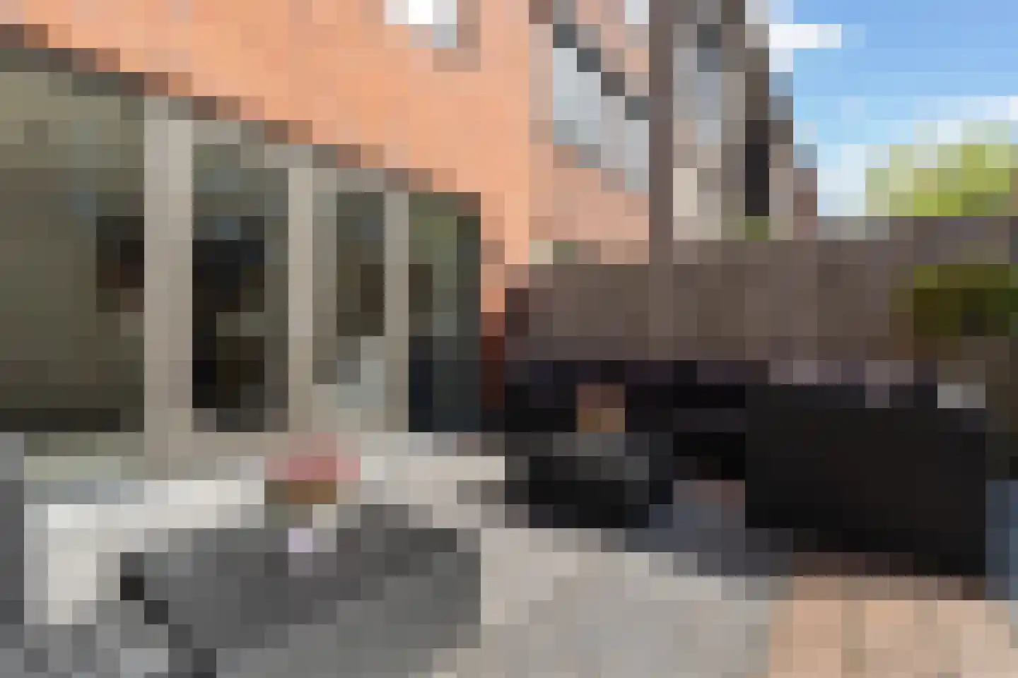 Johan Willem Frisostraat 15 Dordrecht thumbnail 42