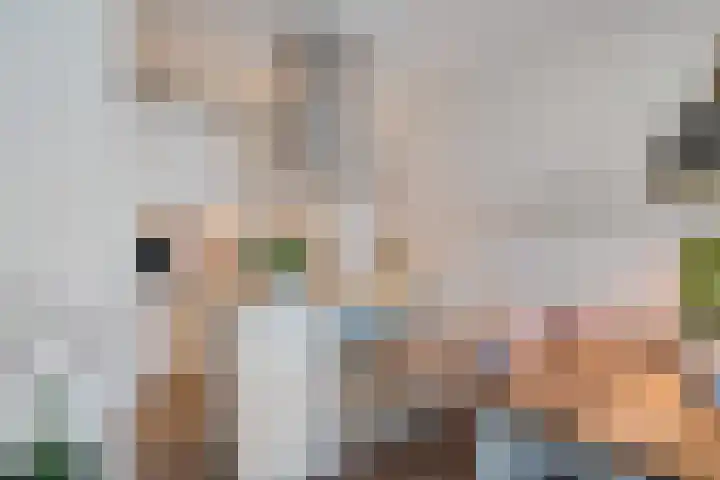 Johan Willem Frisostraat 153 Zoetermeer thumbnail 24