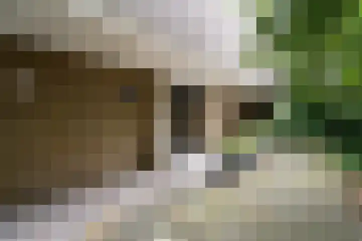 Johan Willem Frisostraat 153 Zoetermeer thumbnail 9