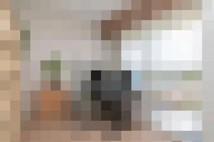 Johan Willem Frisostraat 167 Zoetermeer thumbnail 10