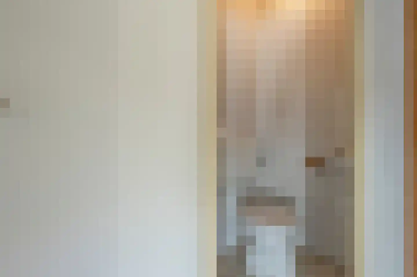 Johan Willem Frisostraat 19 Strijensas thumbnail 9
