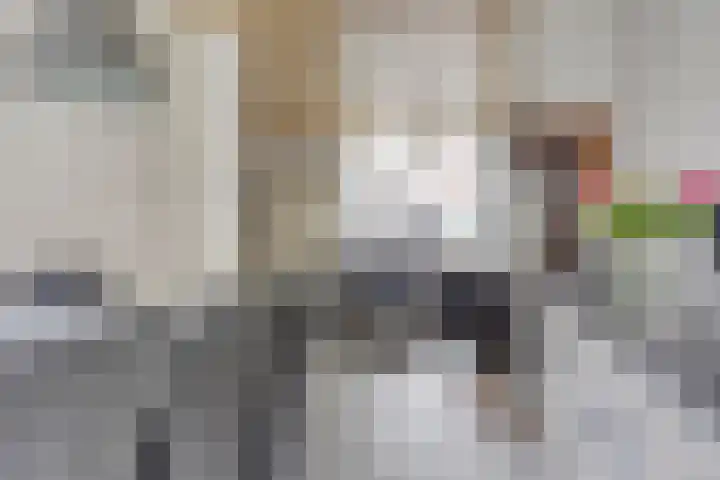 Johan Willem Frisostraat 25 Kampen thumbnail 11