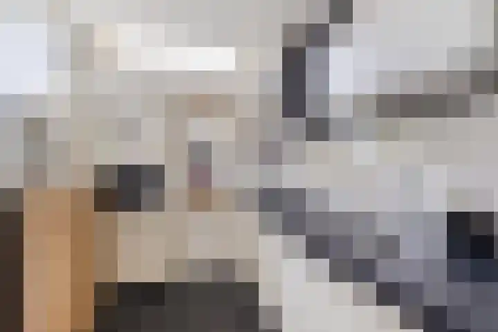Johan Willem Frisostraat 33 Sneek thumbnail 11