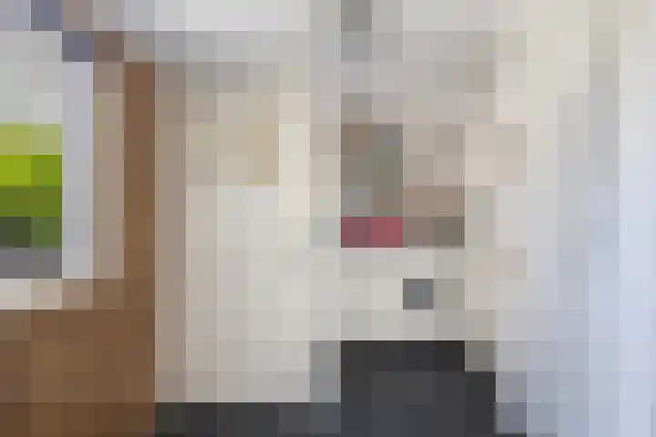 Johan Willem Frisostraat 33 Sneek thumbnail 12