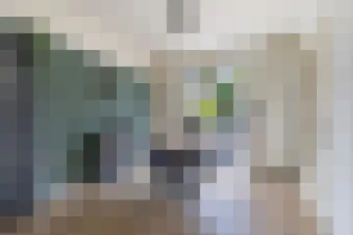 Johan Willem Frisostraat 33 Sneek thumbnail 8