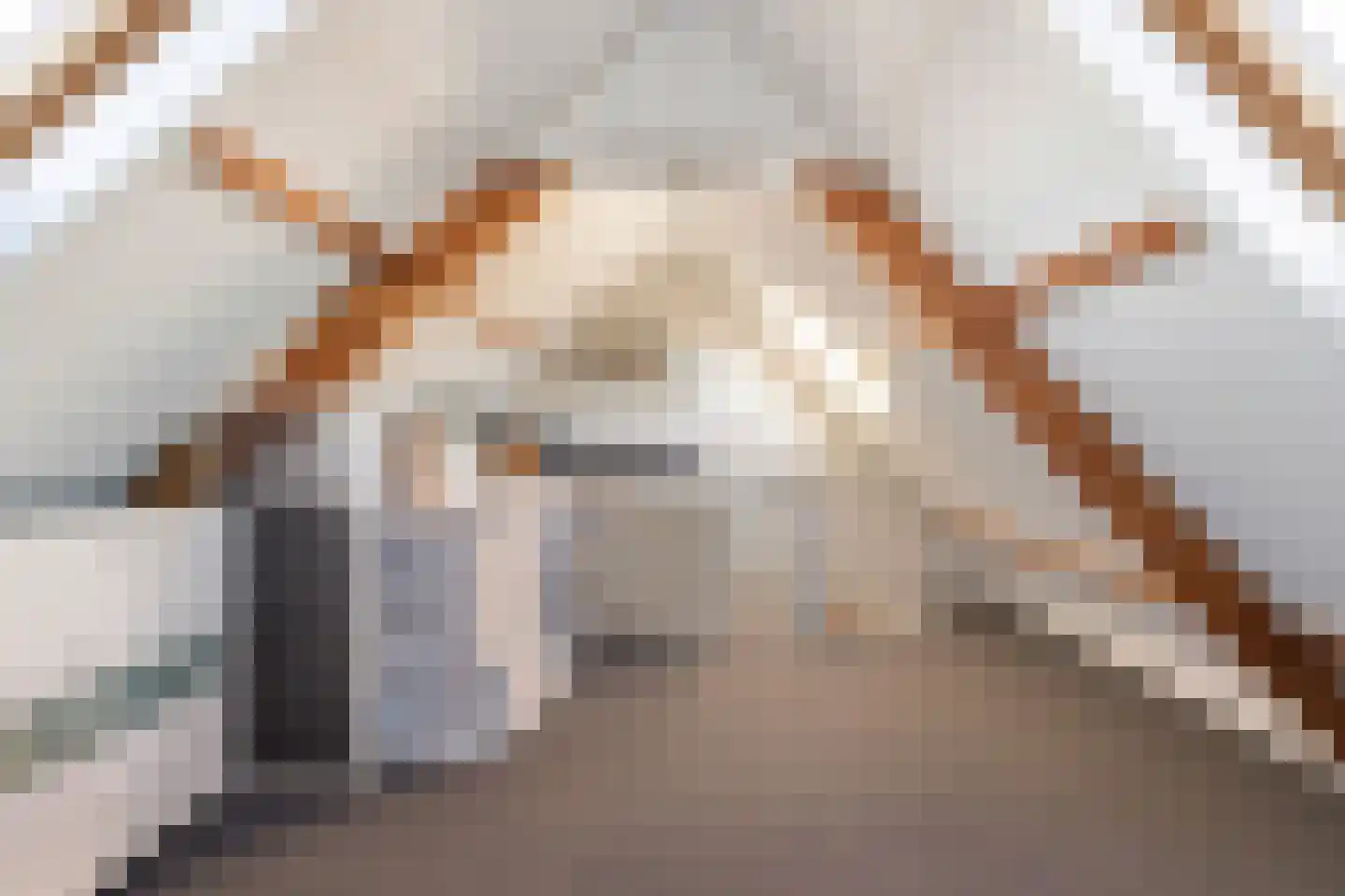 Johan Willem Frisostraat 39 Sneek thumbnail 35