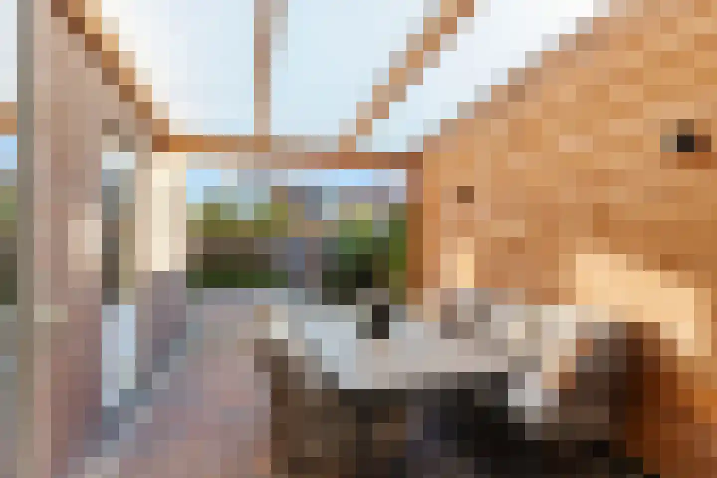 Johan Willem Frisostraat 39 Sneek thumbnail 41