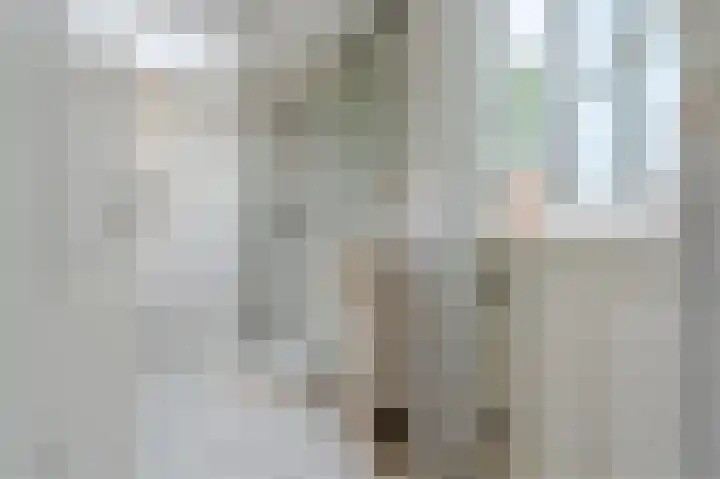 Johan Willem Frisostraat 44 I Sneek thumbnail 16