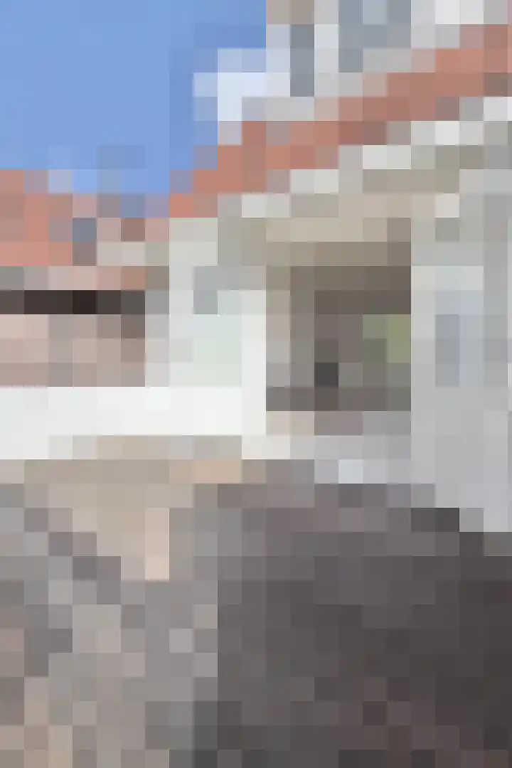 Johan Willem Frisostraat 44 I Sneek thumbnail 18