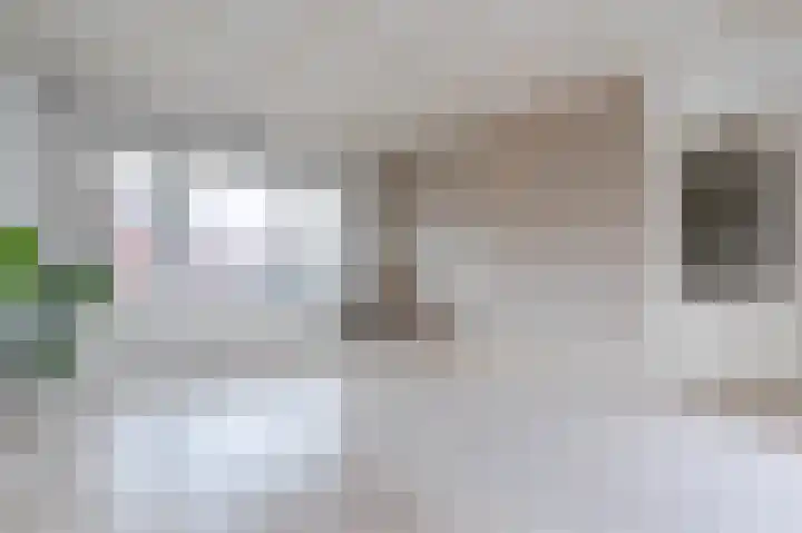 Johan Willem Frisostraat 44 I Sneek thumbnail 36