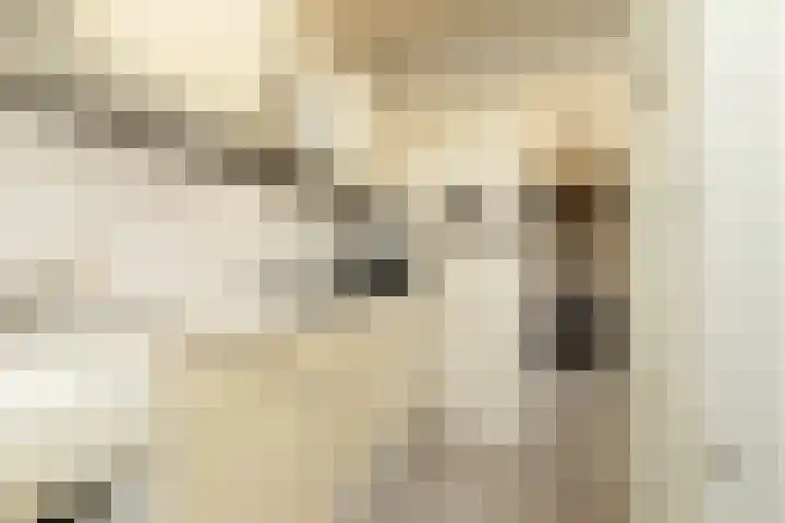 Johan Willem Frisostraat 44 Sneek thumbnail 11