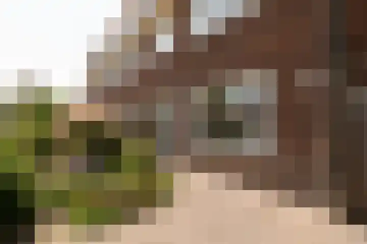 Johan Willem Frisostraat 44 Sneek thumbnail 24