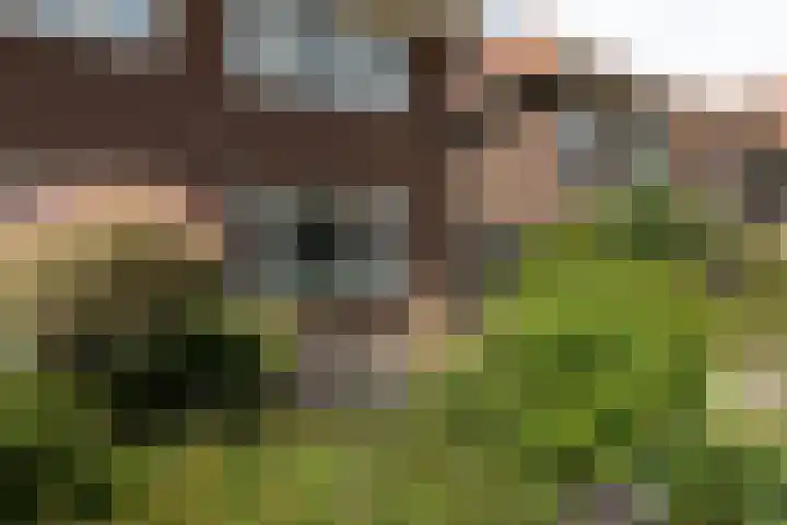 Johan Willem Frisostraat 44 Sneek thumbnail 25