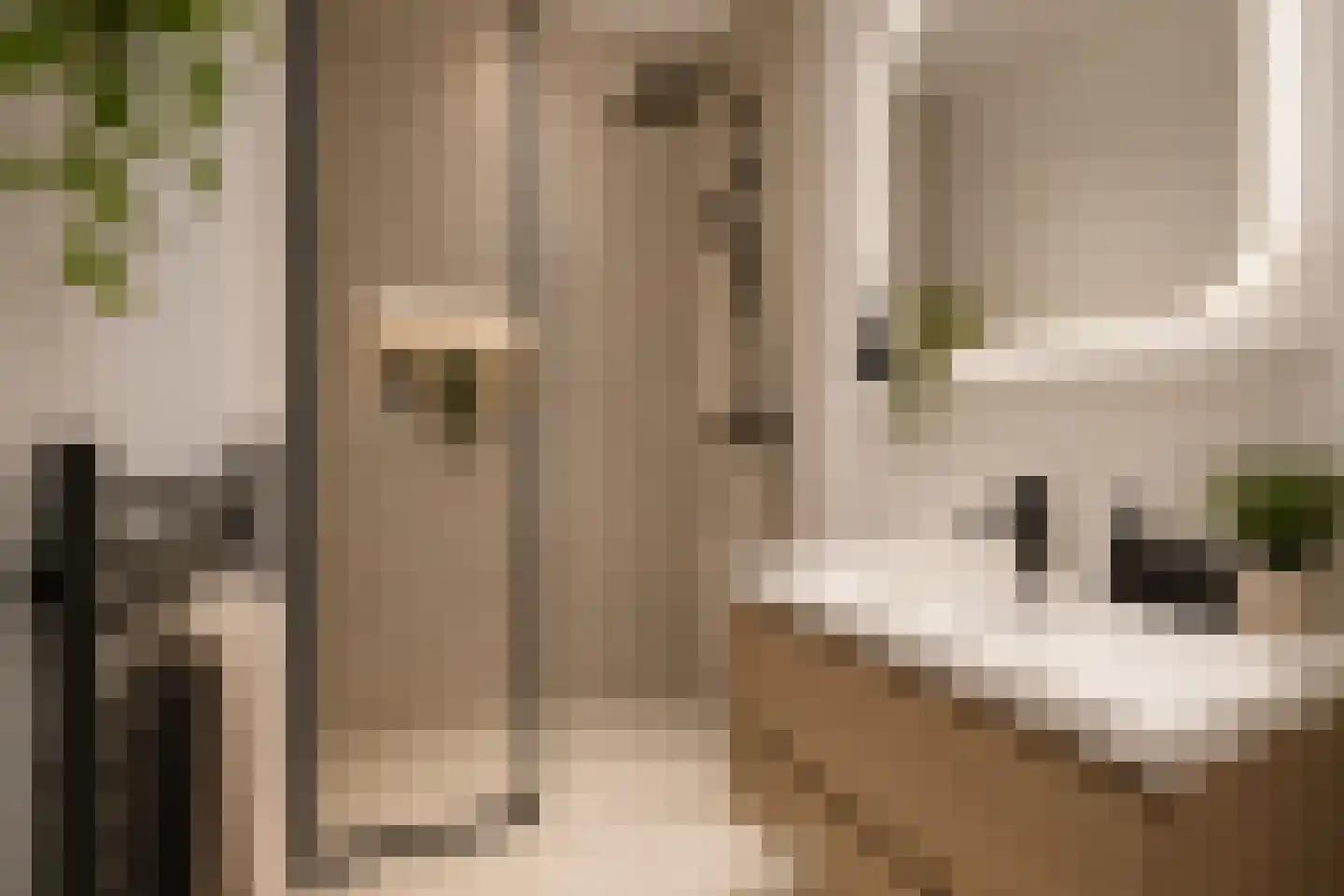 Johan Willem Frisostraat 64 Sneek thumbnail 18