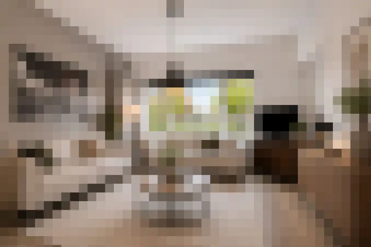 Johan Willem Frisostraat 64 Sneek thumbnail 5