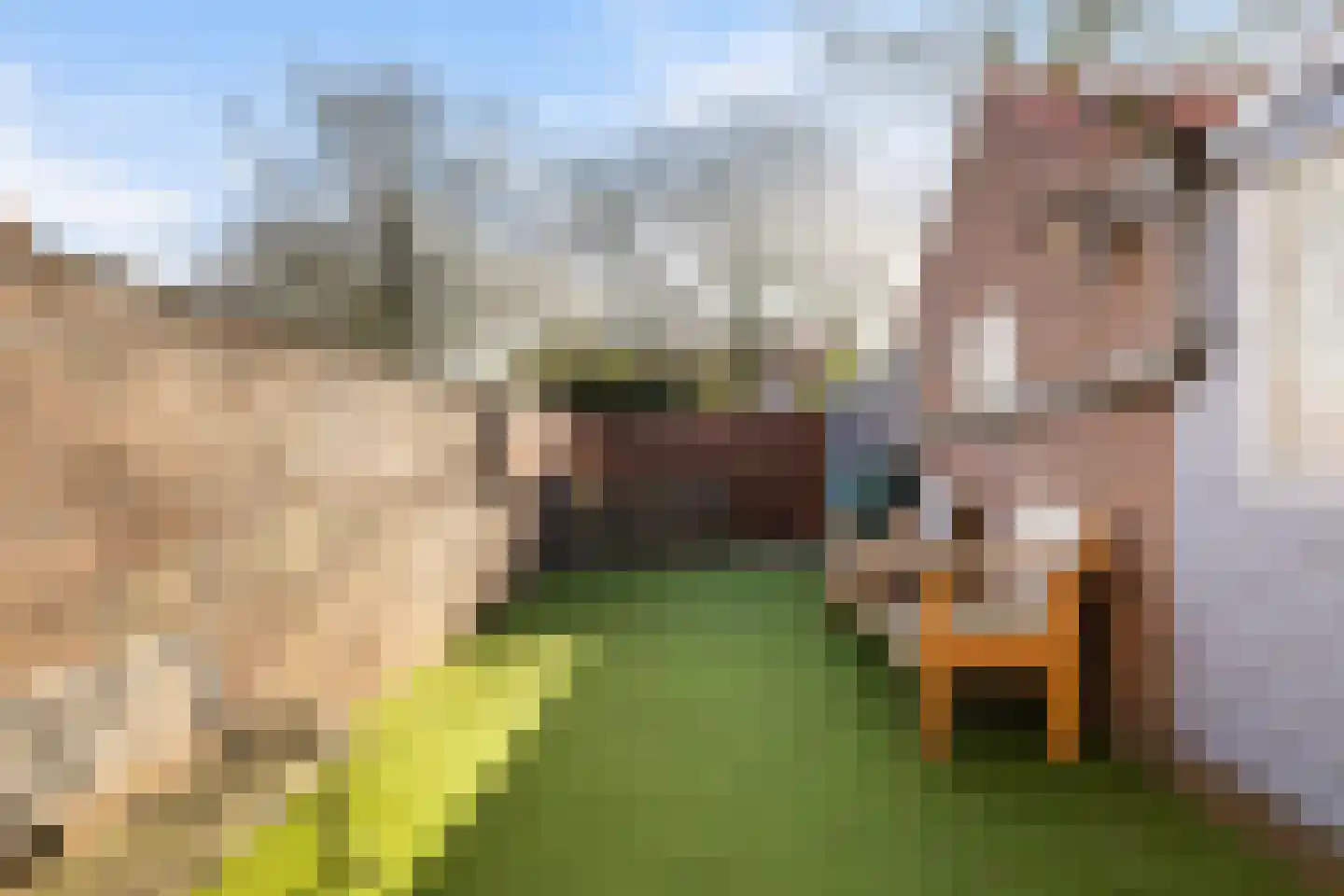 Johan Willem Frisostraat 9 Nieuwerbrug aan den Rijn thumbnail 21
