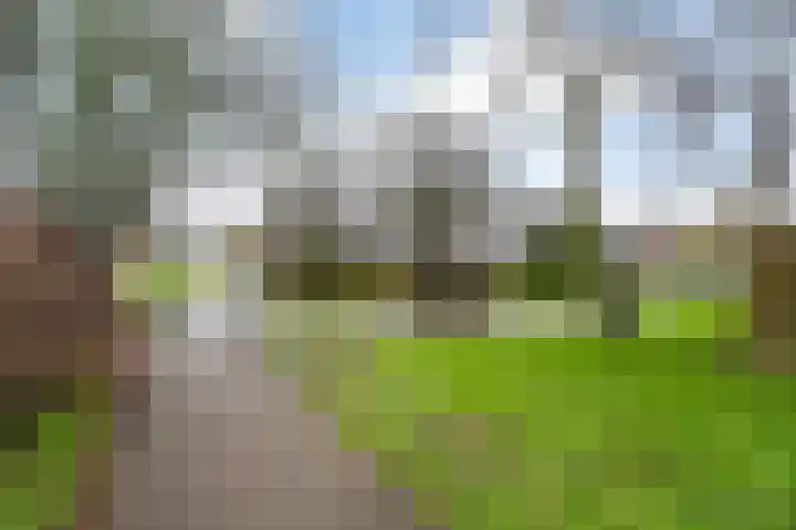 Johan Winklerwei 142 Leeuwarden thumbnail 37