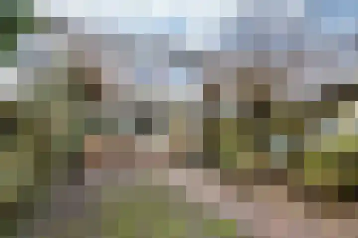 Johan Winklerwei 237 Leeuwarden thumbnail 33