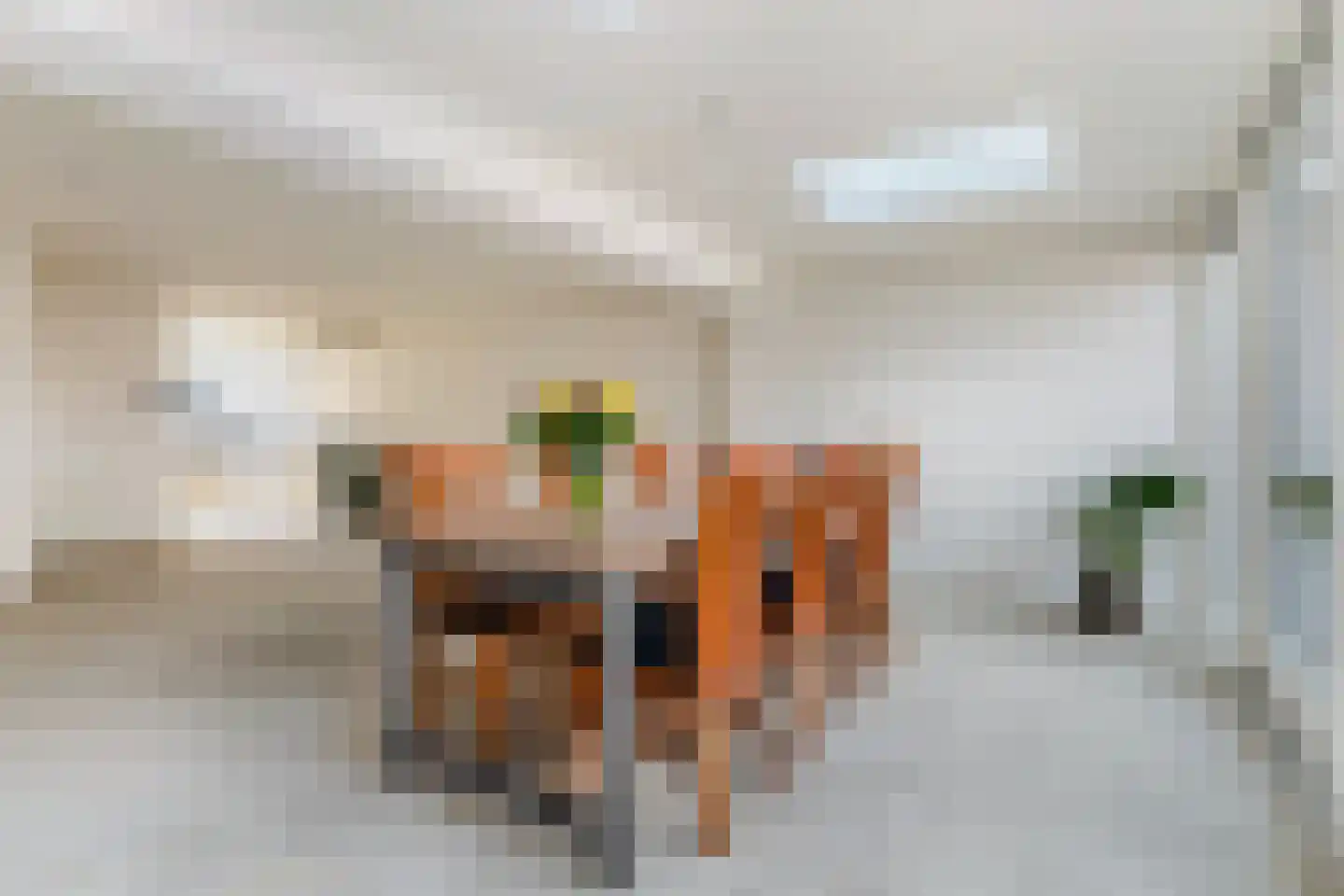 Johan Winklerwei 337 Leeuwarden thumbnail 22