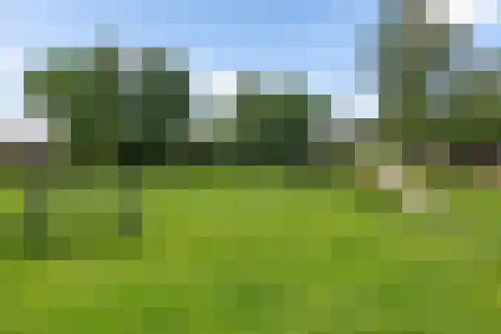 Johan Winklerwei 433 Leeuwarden thumbnail 38