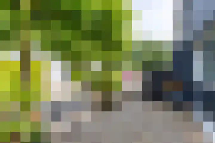 Johan Winklerwei 96 Leeuwarden thumbnail 15