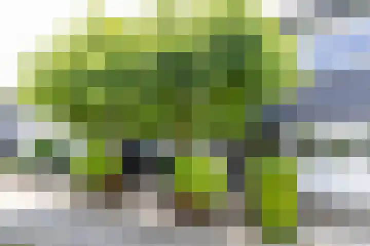 Johan Winklerwei 96 Leeuwarden thumbnail 6