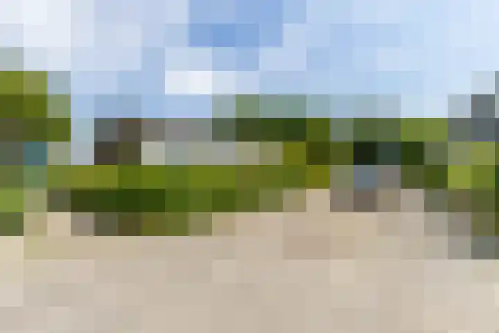 Johan Winklerwei 96 Leeuwarden thumbnail 9