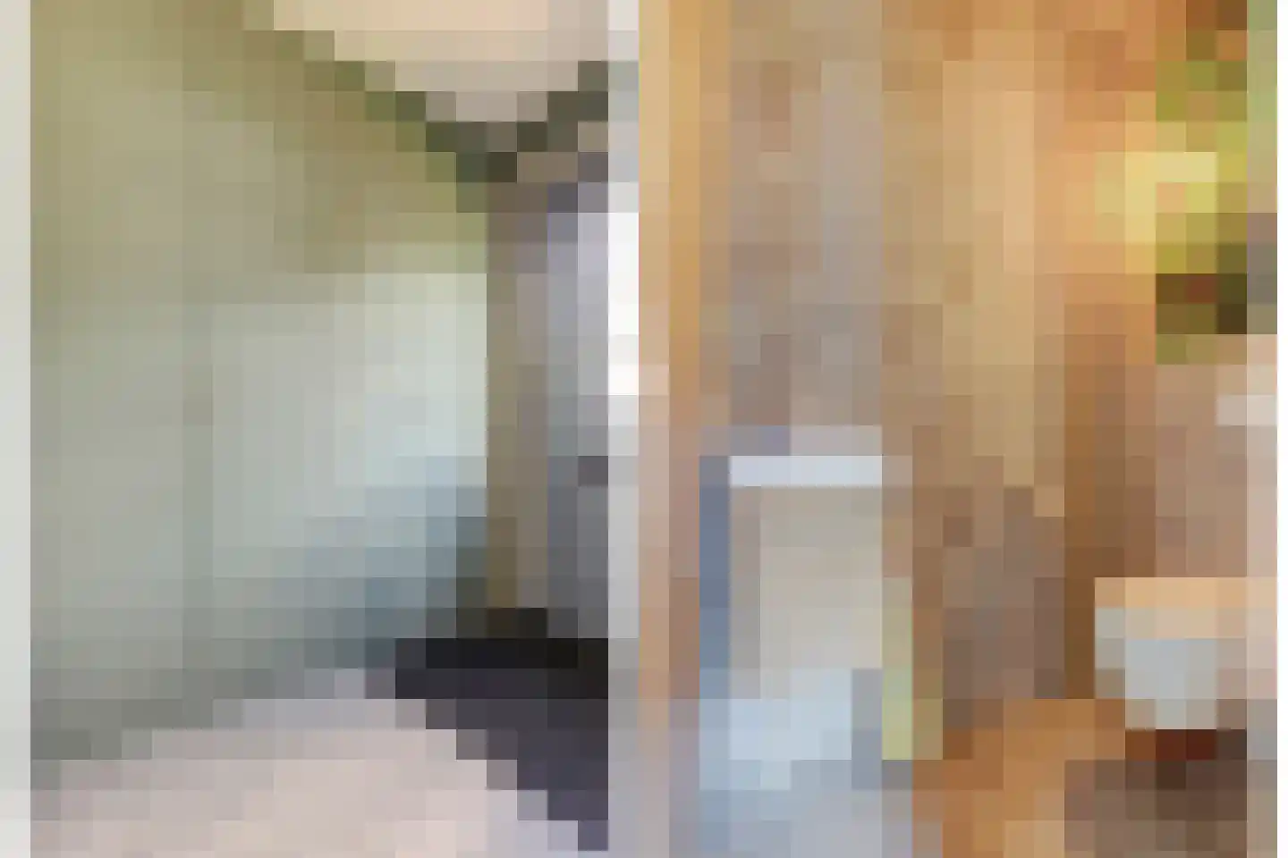 Johan Zocherstraat 6 Waddinxveen thumbnail 19