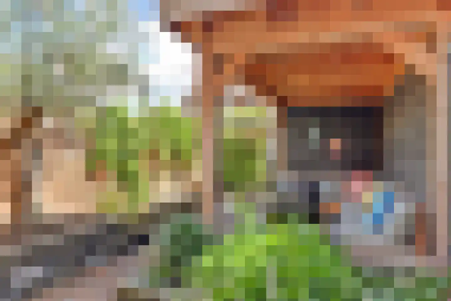Johan Zocherstraat 6 Waddinxveen thumbnail 35