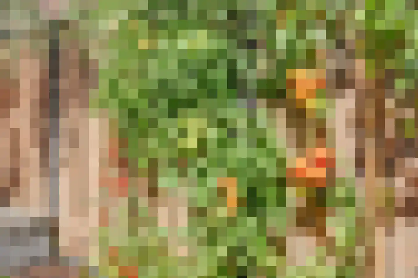 Johan Zocherstraat 6 Waddinxveen thumbnail 40