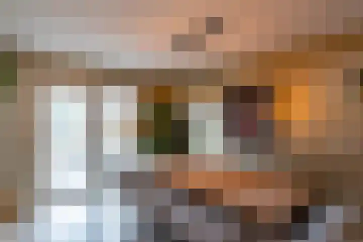 Johann Faberlaan 16 Groningen thumbnail 17