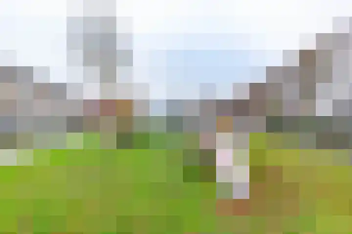 Johann Faberlaan 16 Groningen thumbnail 6