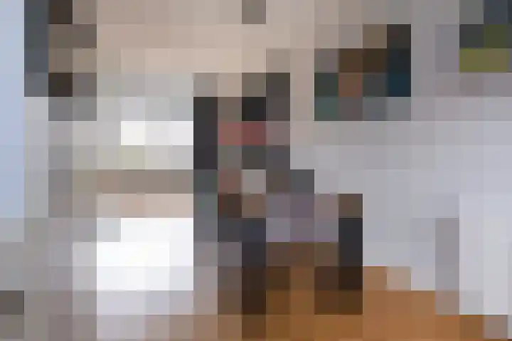 Johann Faberlaan 49 Groningen thumbnail 18