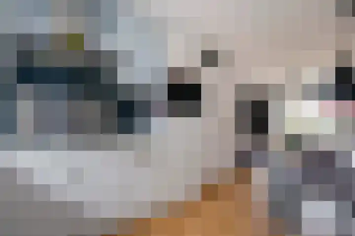 Johann Faberlaan 49 Groningen thumbnail 21