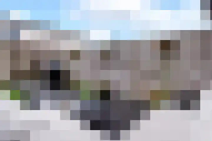 Johann Faberlaan 49 Groningen thumbnail 40