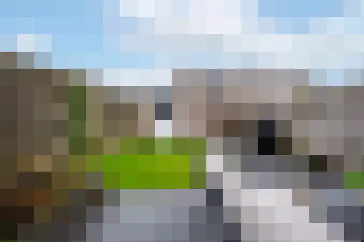 Johann Faberlaan 49 Groningen thumbnail 41
