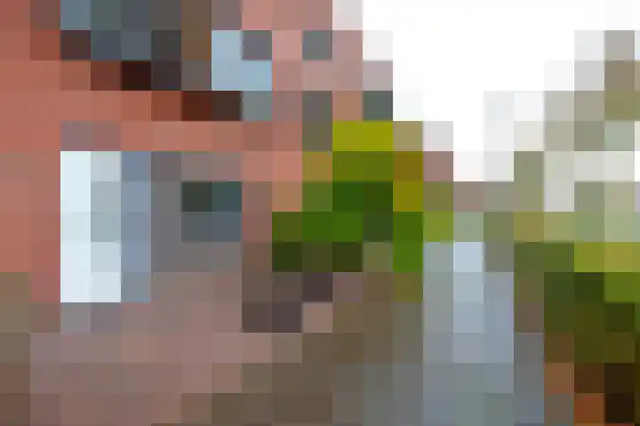 Johann Faberlaan 49 Groningen thumbnail 5