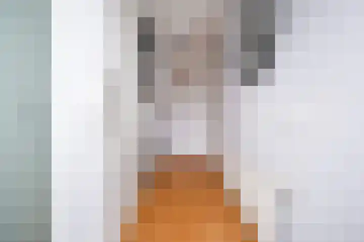Johann Faberlaan 49 Groningen thumbnail 6