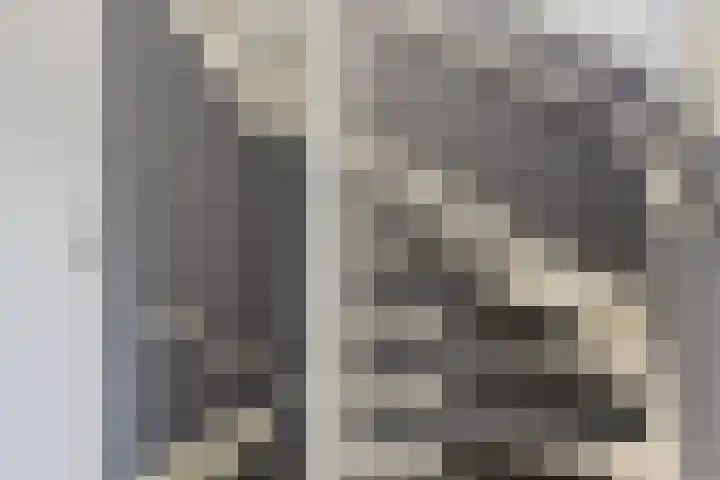 Johann Faberlaan 65 Groningen thumbnail 15