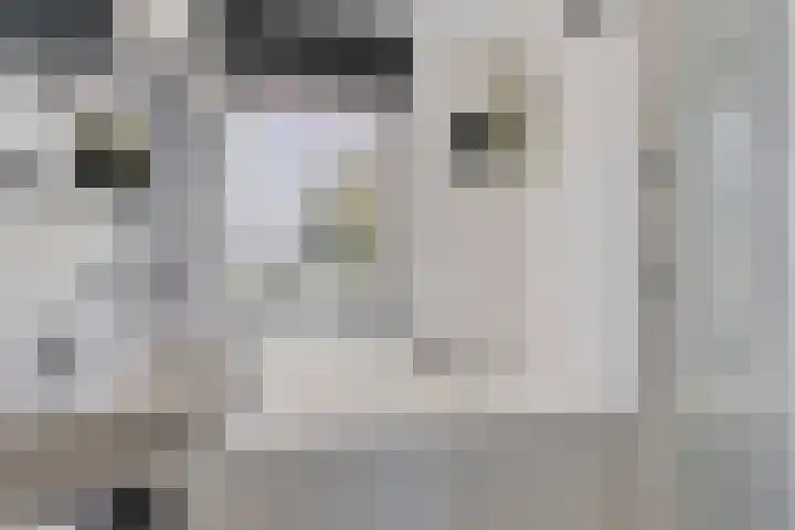 Johann Faberlaan 65 Groningen thumbnail 22